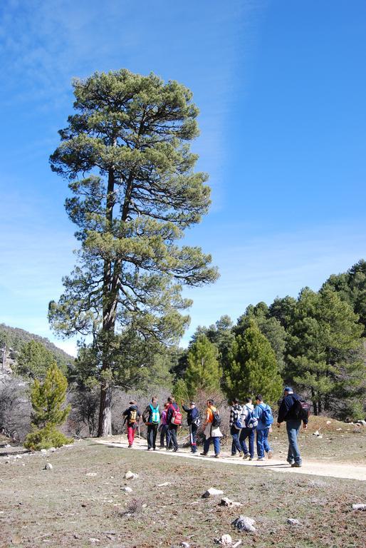 Albergue Inturjoven Cazorla Dış mekan fotoğraf